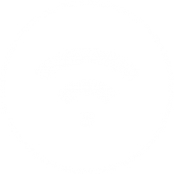 Internet Connectivity Services